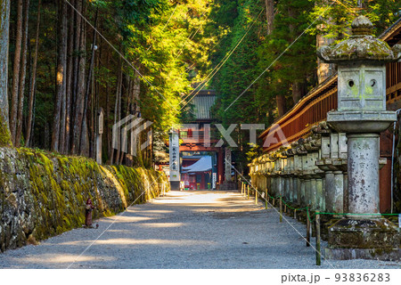 世界遺産「日光の社寺」構成資産 紅葉の日光東照宮 上新道 世界遺産「日光の社寺」構成資産 紅葉の日光東照宮 上新道 93836283