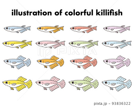 様々な種類のカラフルなメダカのイラストセット 93836322