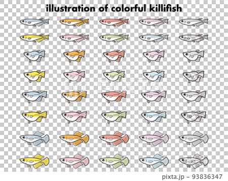 Illustration set of various kinds of colorful medaka Illustration set of various kinds of colorful medaka 93836347