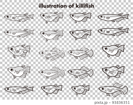 Illustration set of various kinds of medaka 93836351