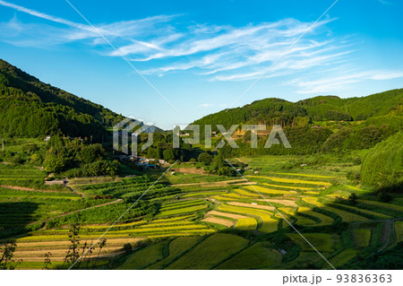 収穫期の棚田の風景イメージ 93836363