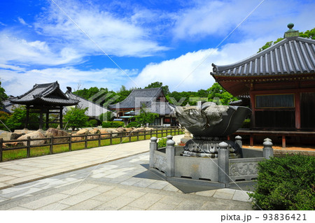 【香川県】晴天の屋島寺 93836421
