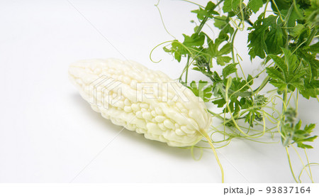 Fresh bitter gourd or bitter melon with leaves isolated on white background.copy space. Fresh bitter gourd or bitter melon with leaves isolated on white background.copy space. 93837164