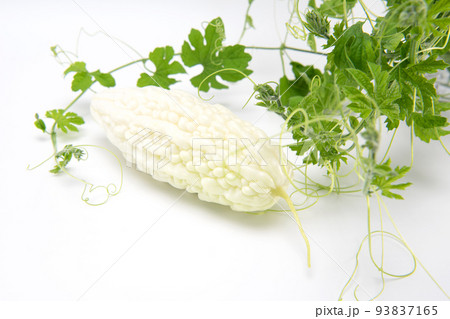 Fresh bitter gourd or bitter melon with leaves isolated on white background.copy space. 93837165