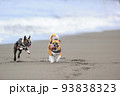 砂浜を走る犬 93838323