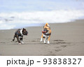 砂浜を走る犬 93838327