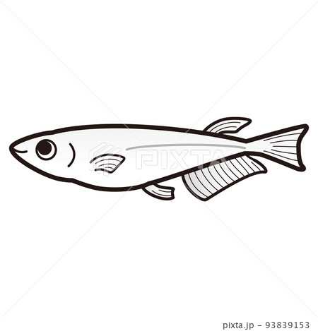 白メダカのイラスト 白メダカのイラスト 93839153