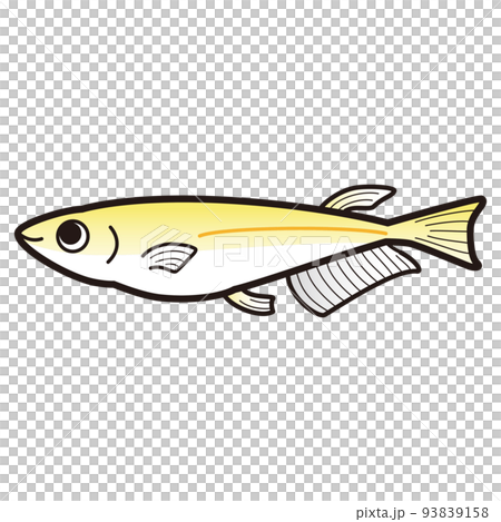 ヒメダカ（黄色）のイラスト 93839158