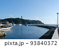 【神奈川】江ノ島・鵠沼海岸（夏の海） 93840372