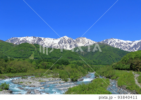 信州白馬の5月　新緑と残雪の白馬三山 93840411