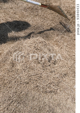 芝のサッチング06 芝のサッチング06 93840433