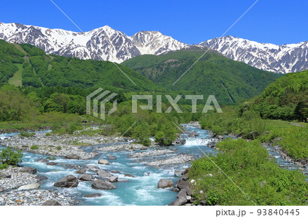 信州白馬の5月　新緑と残雪の白馬三山 93840445