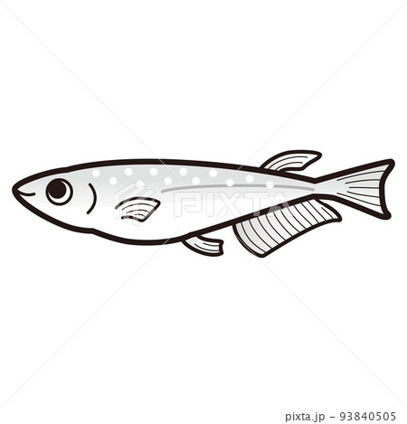 ラメ白メダカのイラスト ラメ白メダカのイラスト 93840505