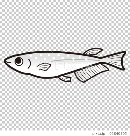 跛腳的白鱂魚的插圖 跛腳的白鱂魚的插圖 93840505