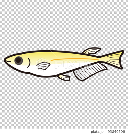 Illustration of a yellow panda 93840506