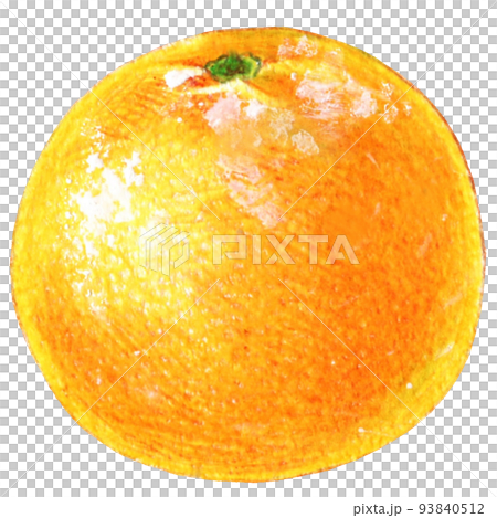 秋冬の丸ごとみかんの色鉛筆画ワンポイント 秋冬の丸ごとみかんの色鉛筆画ワンポイント 93840512