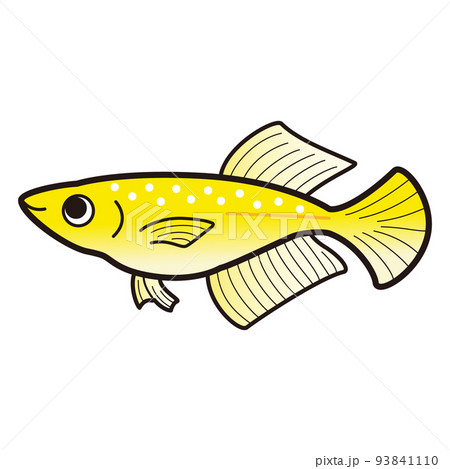 ラメ黄金ヒカリメダカのイラスト 93841110