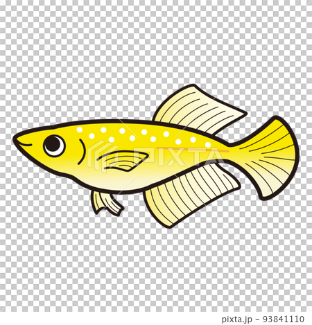 ラメ黄金ヒカリメダカのイラスト 93841110