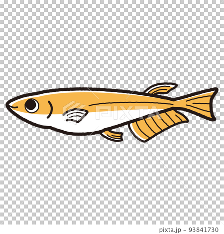 シンプルなメダカのイラスト 93841730