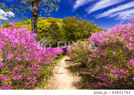 ♯蕪崎園地　♯蕪崎園地展望台　♯牛窓　♯瀬戸内海国立公園 93841793