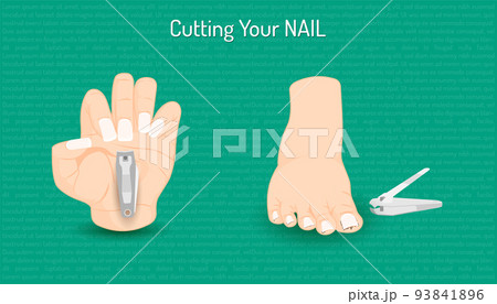 cutting hand and foot nail. body part beautiful color. vector illustration eps10 cutting hand and foot nail. body part beautiful color. vector illustration eps10 93841896