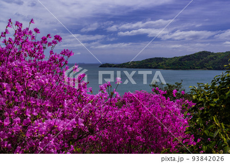 ♯蕪崎園地 ♯蕪崎園地展望台 ♯牛窓 ♯瀬戸内海国立公園 ♯前島 ♯蕪崎園地 ♯蕪崎園地展望台 ♯牛窓 ♯瀬戸内海国立公園 ♯前島 93842026