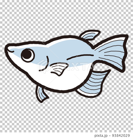 Illustration of a simple Dharma killifish 93842029