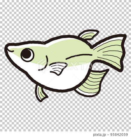 一個簡單的佛法鱂魚的插圖 93842039