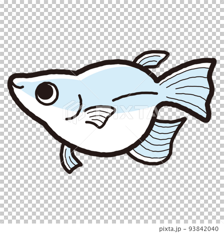 Illustration of a simple Dharma killifish Illustration of a simple Dharma killifish 93842040