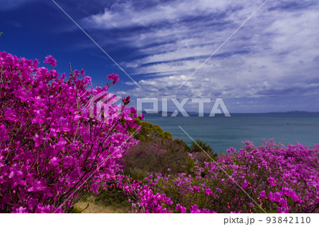 ♯蕪崎園地　♯蕪崎園地展望台　♯牛窓　♯瀬戸内海国立公園 93842110
