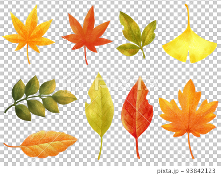 Autumn and winter fallen leaves colored pencil drawing set 93842123