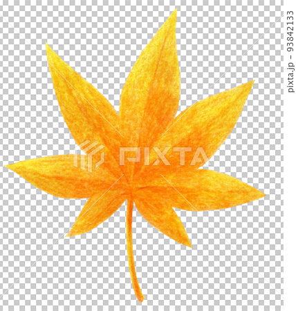 Colored pencil drawing one point of fallen leaves in autumn and winter Colored pencil drawing one point of fallen leaves in autumn and winter 93842133