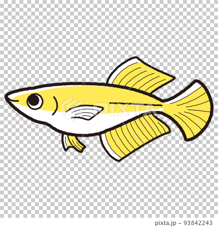 シンプルなヒカリメダカのイラスト シンプルなヒカリメダカのイラスト 93842243