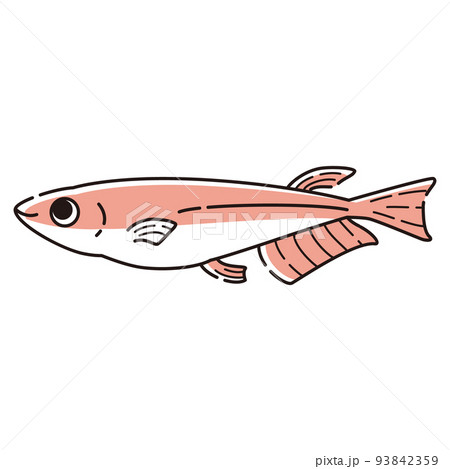 シンプルなメダカのイラスト シンプルなメダカのイラスト 93842359