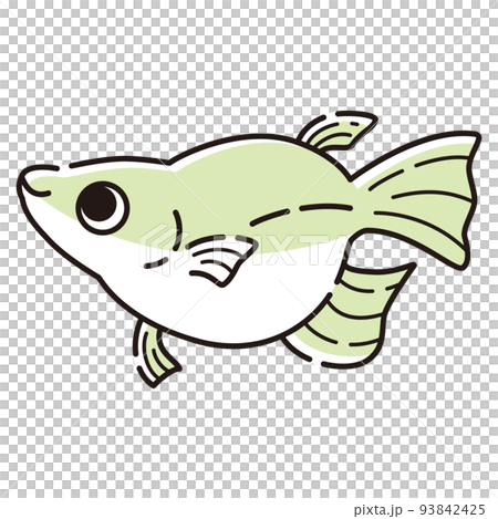 Illustration of a simple Dharma killifish Illustration of a simple Dharma killifish 93842425
