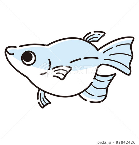 シンプルなダルマメダカのイラスト シンプルなダルマメダカのイラスト 93842426