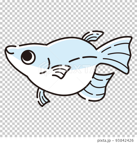 一個簡單的佛法鱂魚的插圖 一個簡單的佛法鱂魚的插圖 93842426