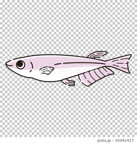 簡單的插圖 簡單的插圖 93842427
