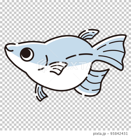 一個簡單的佛法鱂魚的插圖 一個簡單的佛法鱂魚的插圖 93842431