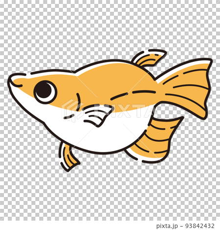 Illustration of a simple Dharma killifish Illustration of a simple Dharma killifish 93842432