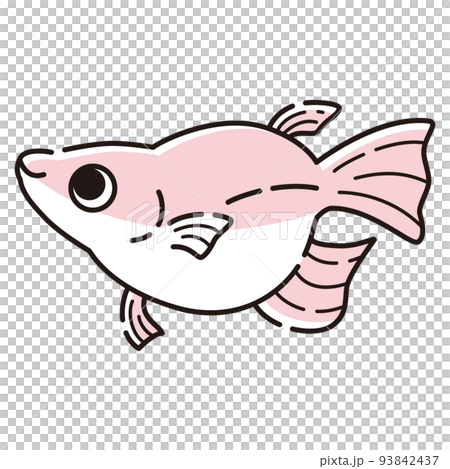 一個簡單的佛法鱂魚的插圖 一個簡單的佛法鱂魚的插圖 93842437