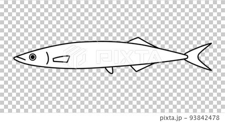 はっきりとした線で描かれたさんまの線画 93842478