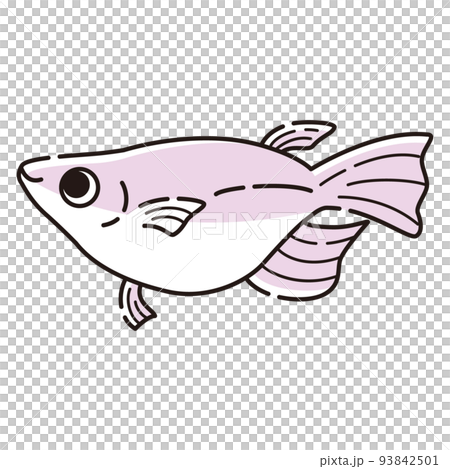 一個簡單的半達摩鱂的插圖 93842501