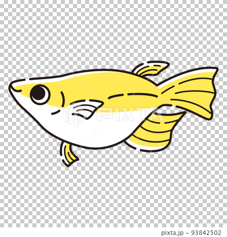一個簡單的半達摩鱂的插圖 一個簡單的半達摩鱂的插圖 93842502