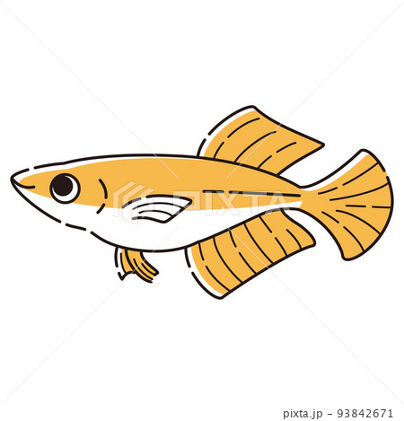 シンプルなヒカリメダカのイラスト シンプルなヒカリメダカのイラスト 93842671