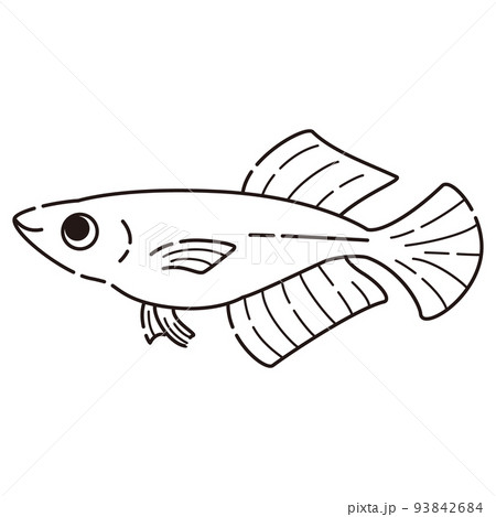シンプルなヒカリメダカのイラスト(白黒) シンプルなヒカリメダカのイラスト(白黒) 93842684