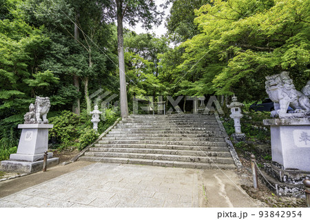宇倍神社 参道 鳥取県鳥取市 宇倍神社 参道 鳥取県鳥取市 93842954