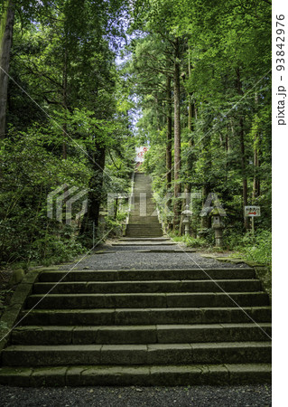 宇倍神社　参道　鳥取県鳥取市 93842976