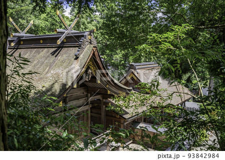 宇倍神社　社殿　鳥取県鳥取市 93842984