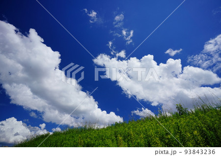 夏休み、そして青い空 夏休み、そして青い空 93843236